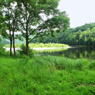 peaceful view of green trees on Delaware River sun reflecting on river surrounded by trees Indian Head Canoeing Rafting Kayaking Tubing Delaware River