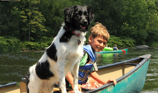 young boy and his dog in canoe on the Delaware River - Indian Head Canoeing, Rafting, Kayaking, and Tubing on the Delaware River